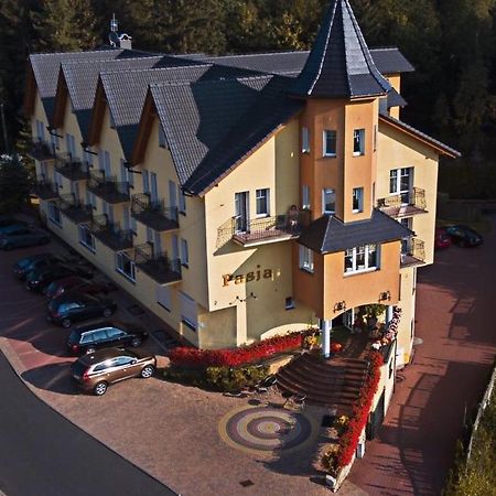 Bed and Breakfast Pasja à Świeradów-Zdrój Extérieur photo