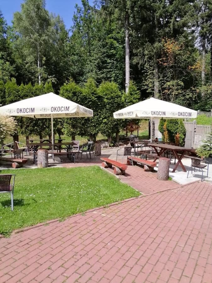 Bed and Breakfast Pasja à Świeradów-Zdrój Extérieur photo