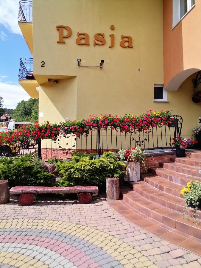 Bed and Breakfast Pasja à Świeradów-Zdrój Extérieur photo