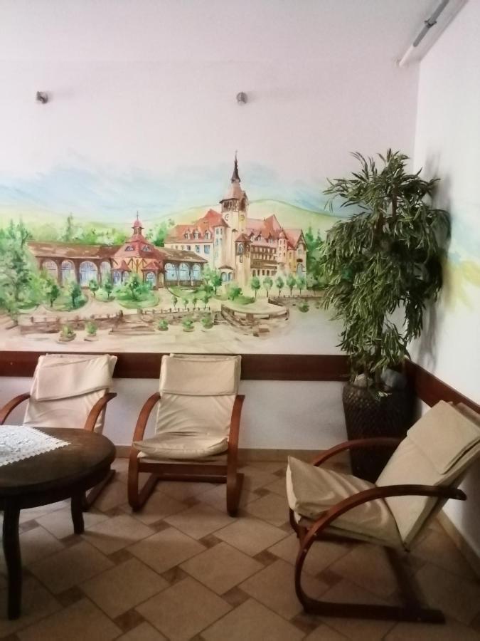 Bed and Breakfast Pasja à Świeradów-Zdrój Extérieur photo