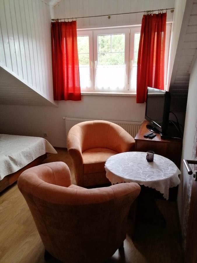 Bed and Breakfast Pasja à Świeradów-Zdrój Extérieur photo