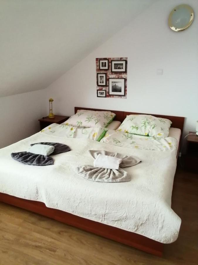 Bed and Breakfast Pasja à Świeradów-Zdrój Extérieur photo