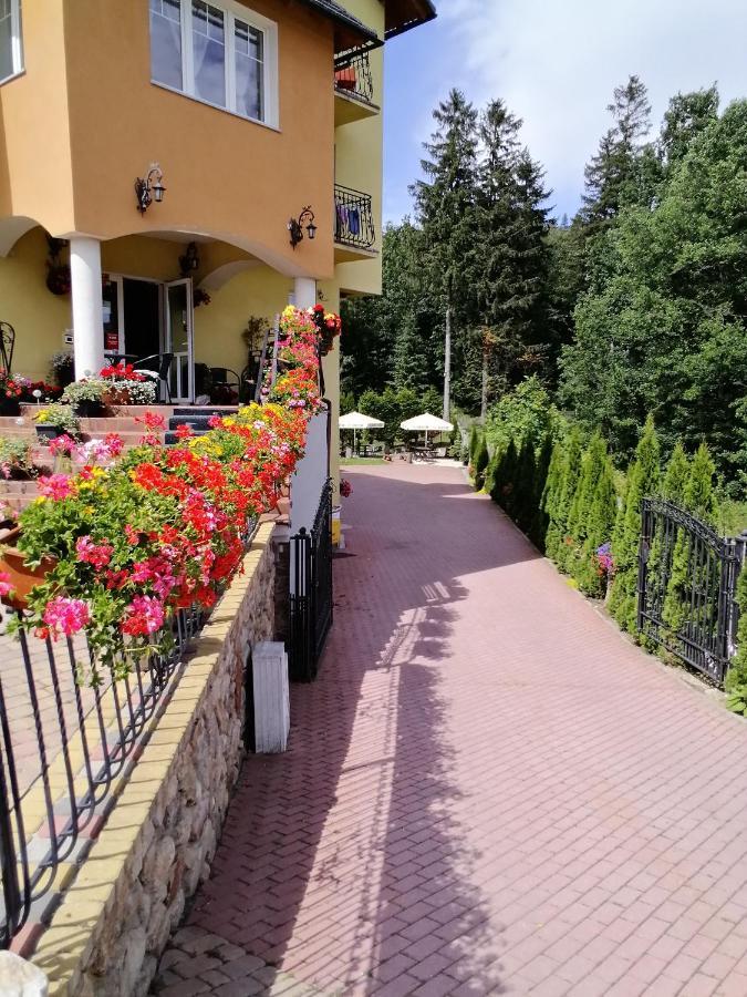 Bed and Breakfast Pasja à Świeradów-Zdrój Extérieur photo